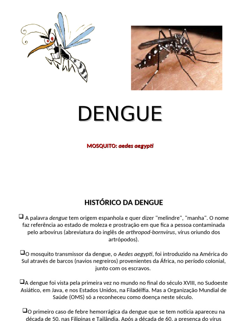 Febre zika – Wikipédia, a enciclopédia livre, image size:768x1024