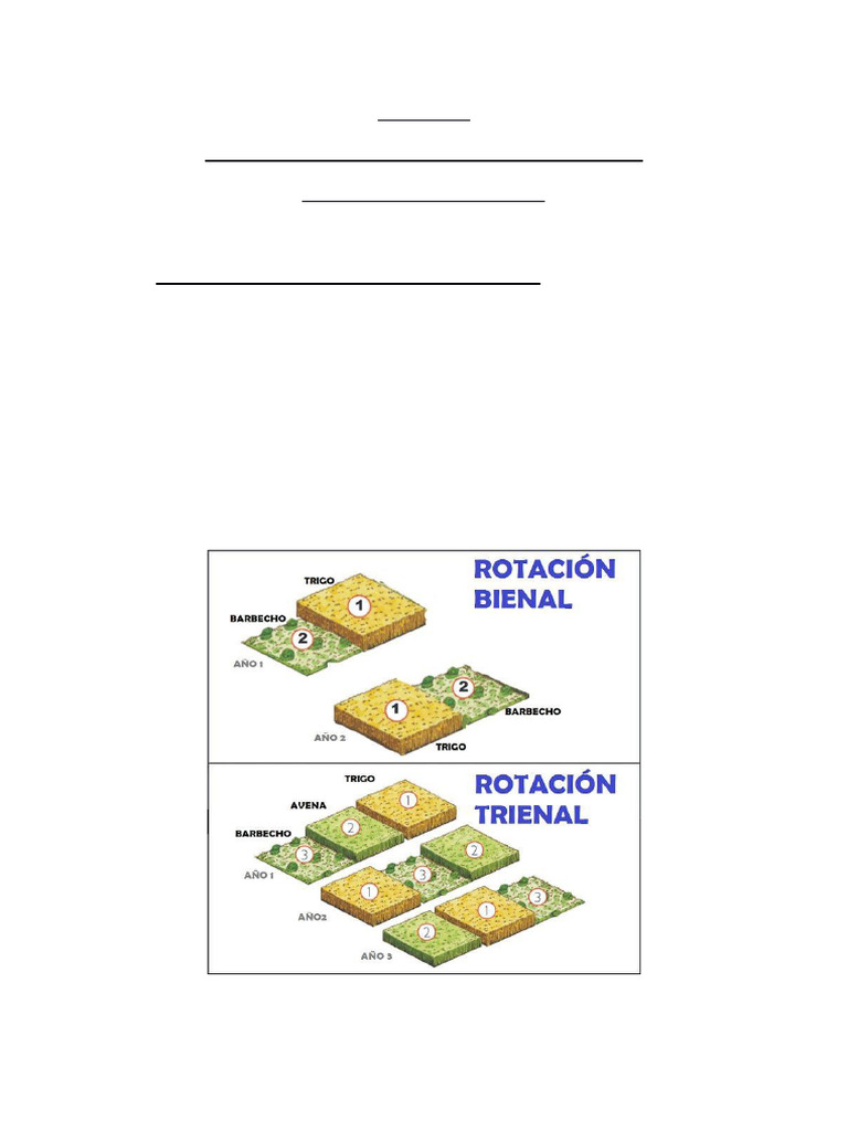 Ciudades en La Edad Media | PDF | Agricultura