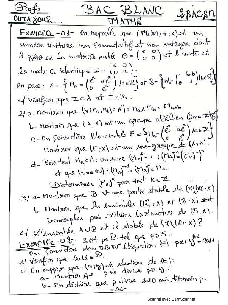 Bac Blanc Math | PDF