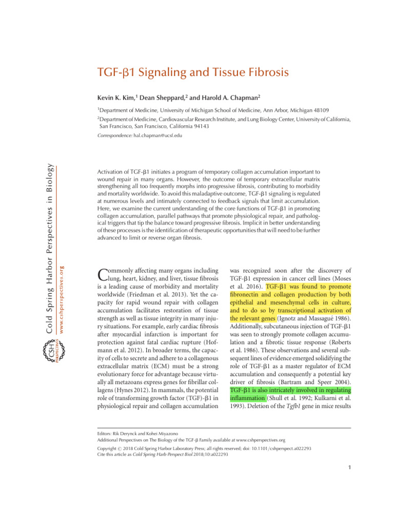 Jurnal TGF-B1 | PDF | Transforming Growth Factor Beta | Collagen