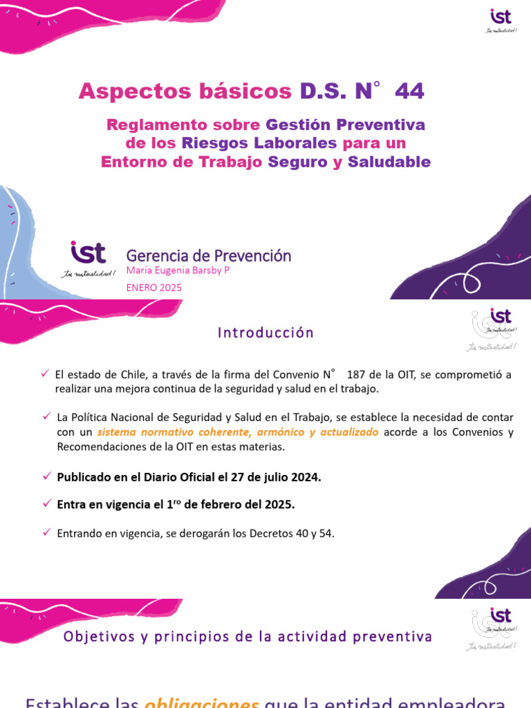 Reglamento D.S. N°44: Gestión de Riesgos Laborales | PDF