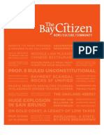 Bay Citizen 2010 Final Annual Report