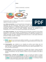 Clasificacion de La Celula