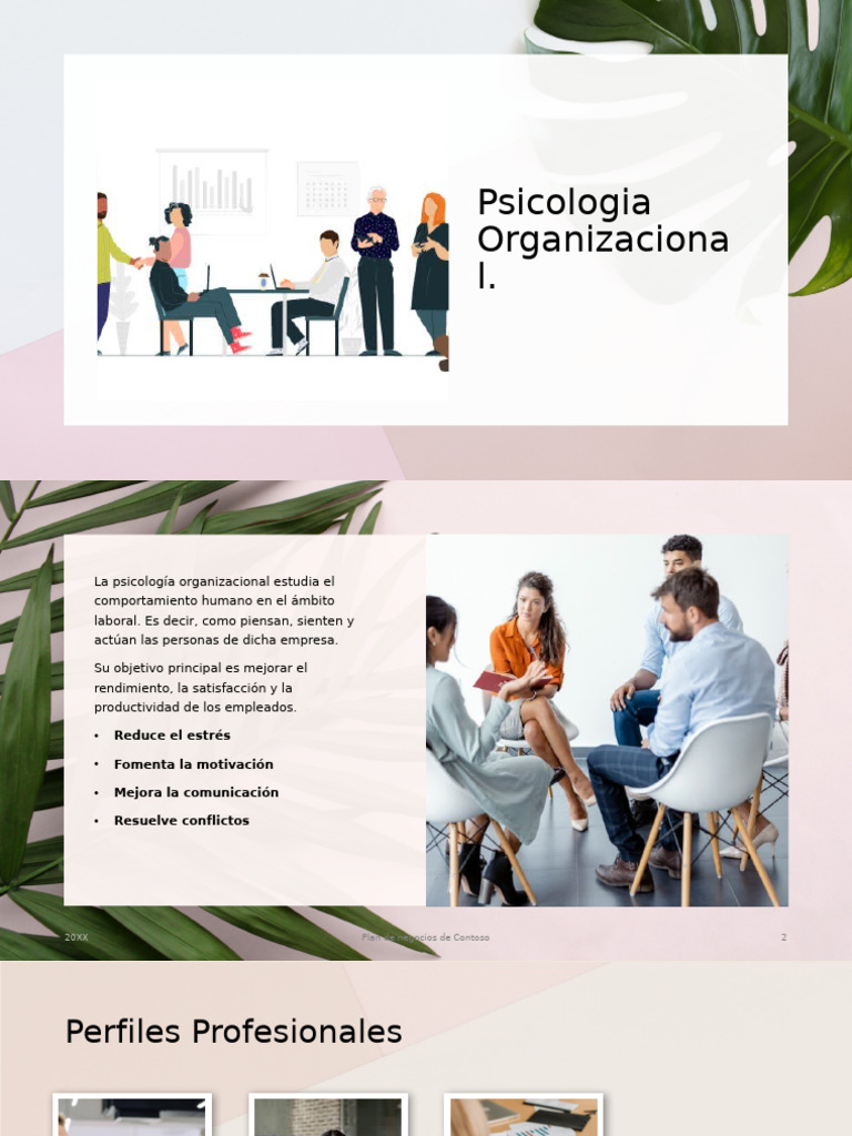 Psicologia Organizacional | PDF