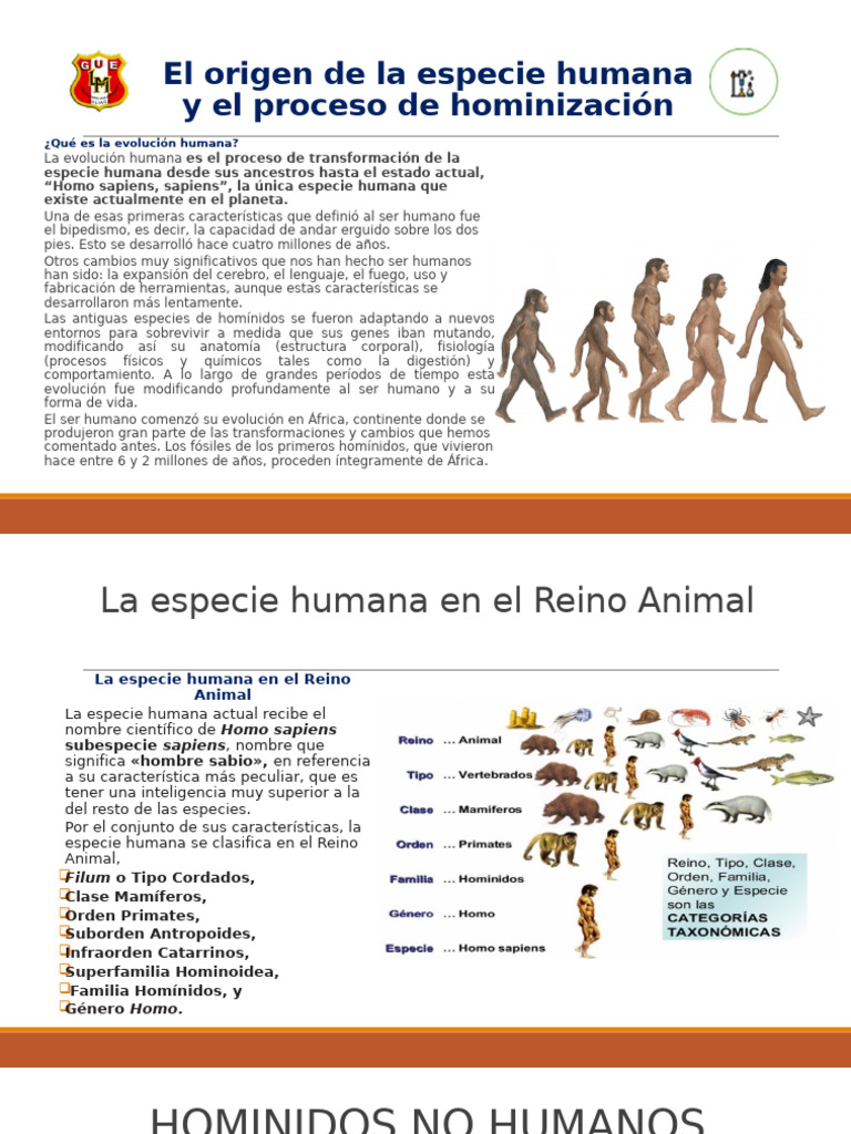 El Origen de La Especie Humana Imprimir | PDF | Evolución humana | Homo