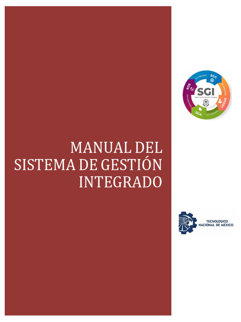 Manual Del Sistema de Gestion Integrado 080622 | PDF | Calidad ...