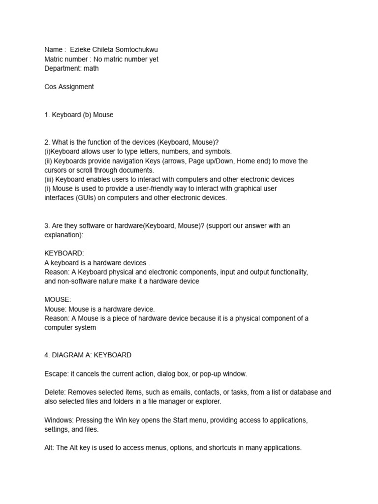 Ezieke Chileta Somtochukwu COS 101 Assignment (Math Department) | PDF ...
