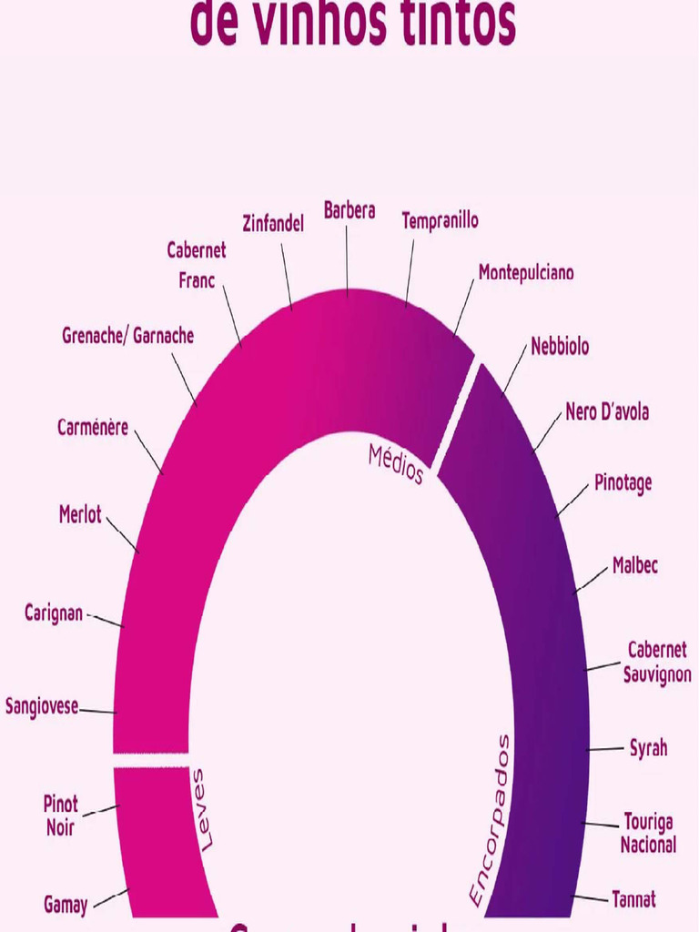 classificacao-vinhos-pdf