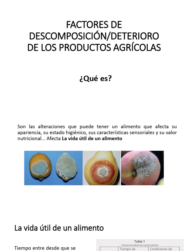 Factores que Afectan la Vida Útil de Alimentos | PDF | Glucosa | Alimentos