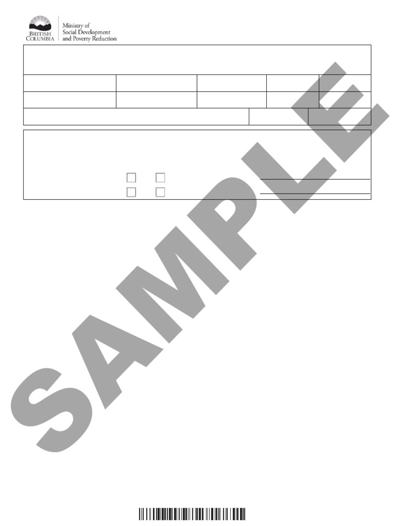 Application for Public Assistance Form | PDF