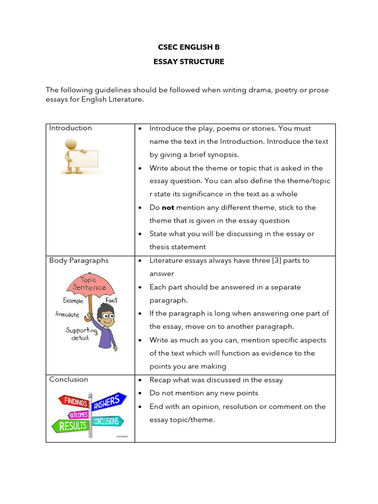 Essay Guidelines Pdf