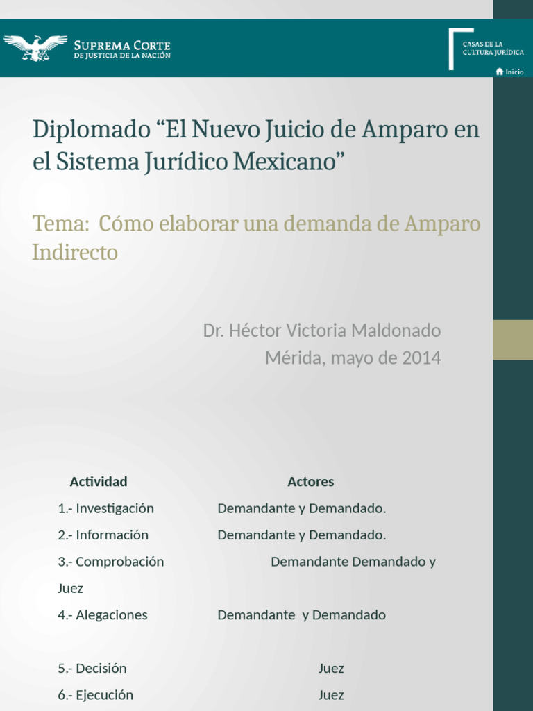 Cómo Elaborar una Demanda de Amparo | PDF | Caso de ley | Demanda judicial