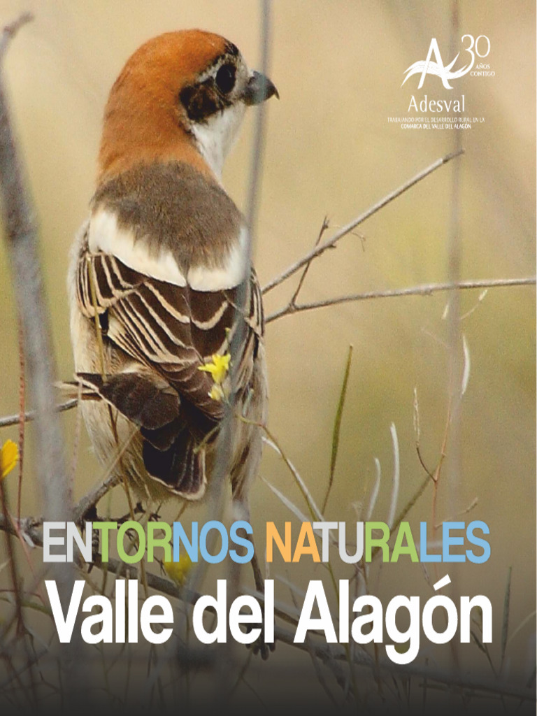 Entorno | PDF