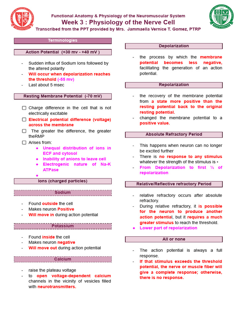 Action Potential FAPN WEEK 3 | PDF | Action Potential | Depolarization