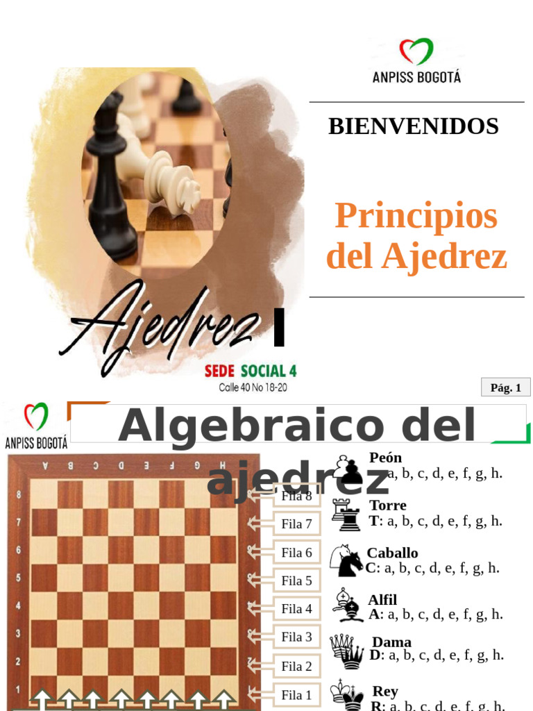 Principios del Ajedrez y Movimientos | PDF | Ajedrez | Juegos de ...