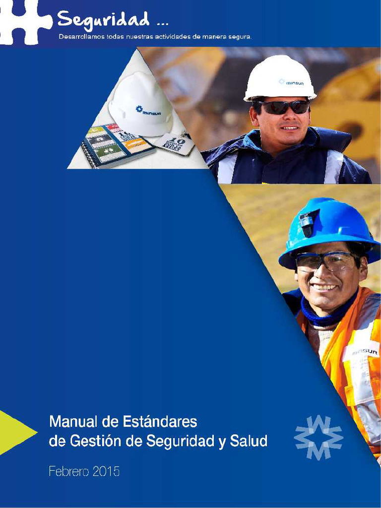 Manual de Estándares de Gestión de Seguridad y Salud PDF | PDF