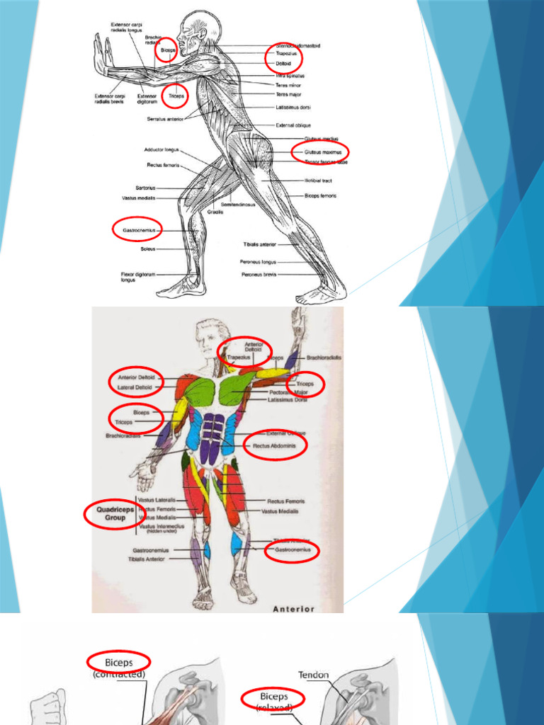 4-15-19 PPT Week 3 and 4new | PDF