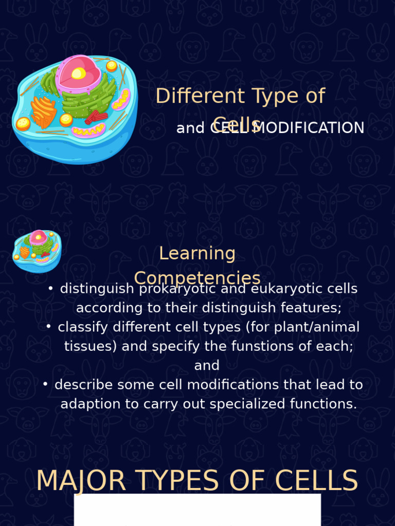 Cell Types and Modifications Explained | PDF | Cell (Biology) | Eukaryotes