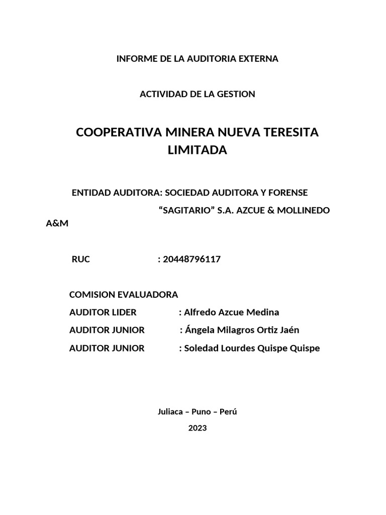 Informe de La Auditoria Externa | PDF | Auditoría | Presupuesto
