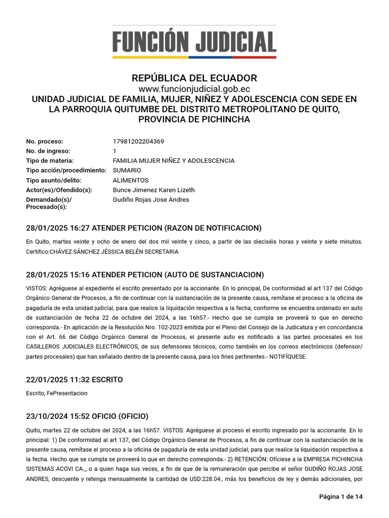 Expel 17981202204369 24420192 31012025 | PDF | Pensión alimenticia ...