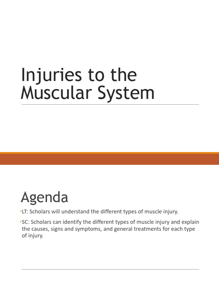 Injuries To The Muscular System | PDF | Nonsteroidal Anti Inflammatory ...