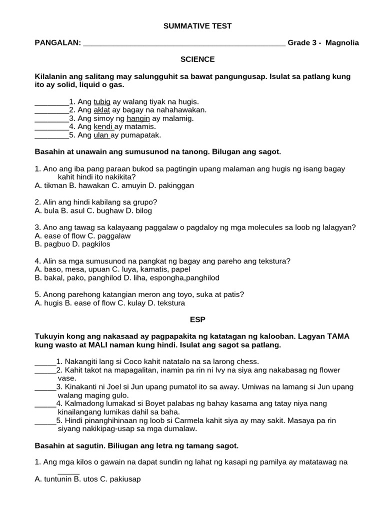Summative Test 2 | PDF