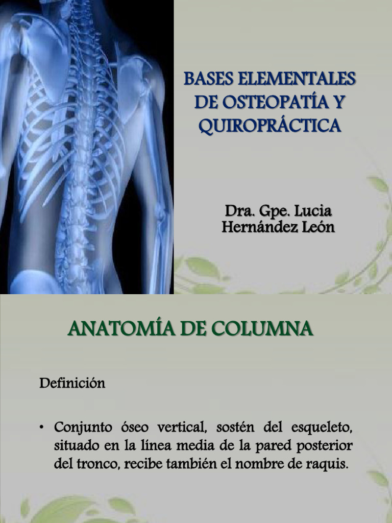 Anatomía y Funciones de la Columna Vertebral | PDF | La columna ...