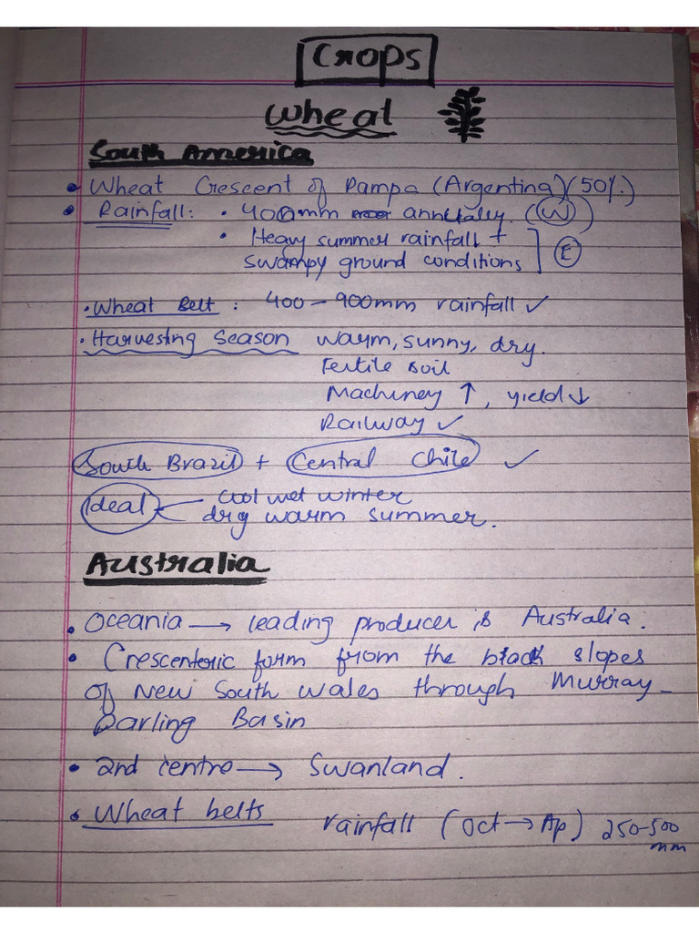 Handwritten Notes Pt 3 Final Pdf