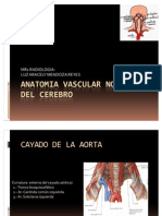 Anatomia Vascular Normal Del Cerebro Dra. Aracely