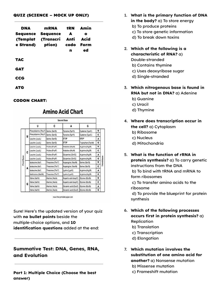 DNA and RNA Quiz: Genetics Basics | PDF | Translation (Biology ...