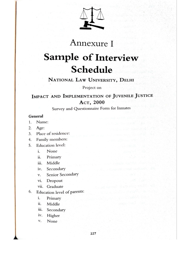 Questionnaire Interview Juvenile Justice | PDF