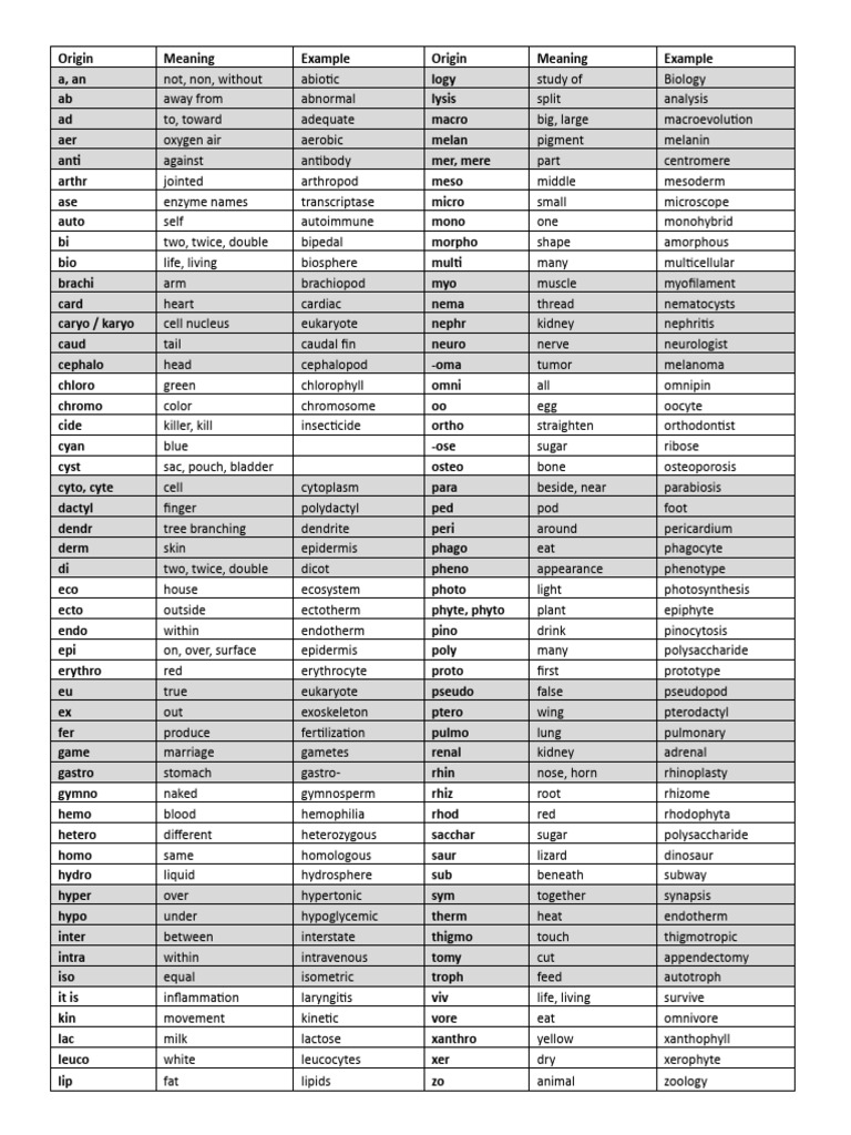 Biology Prefixes and Suffixes Guide | PDF | Biology | Anatomy