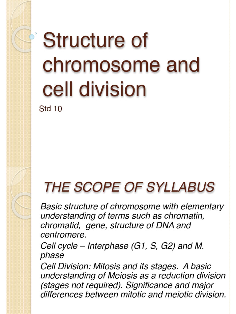 Chromosome Structure & Cell Division | PDF | Meiosis | Mitosis
