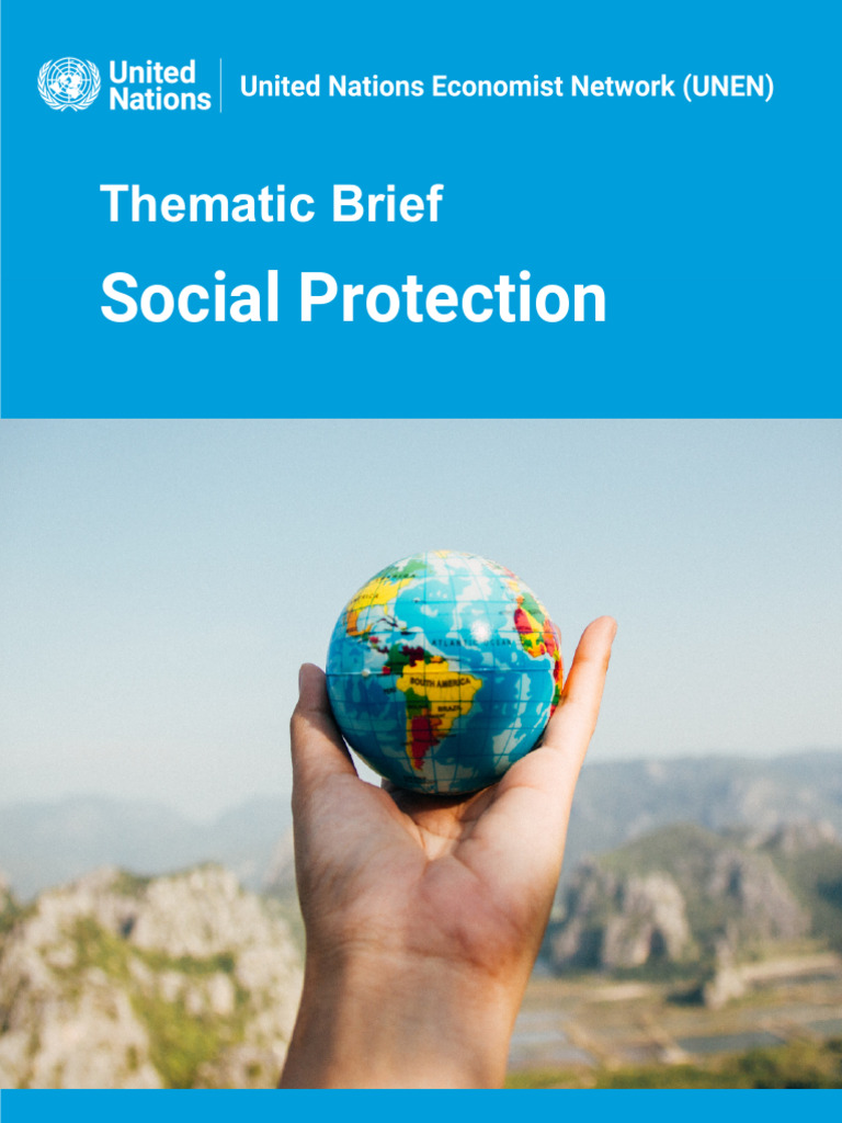 Overview of Social Protection Systems | PDF | Social Protection ...