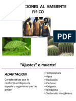 Adaptaciones Al Ambiente Fisico