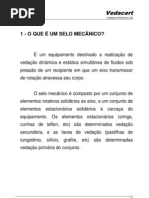 Manual de selos mecânicos-Vedacert