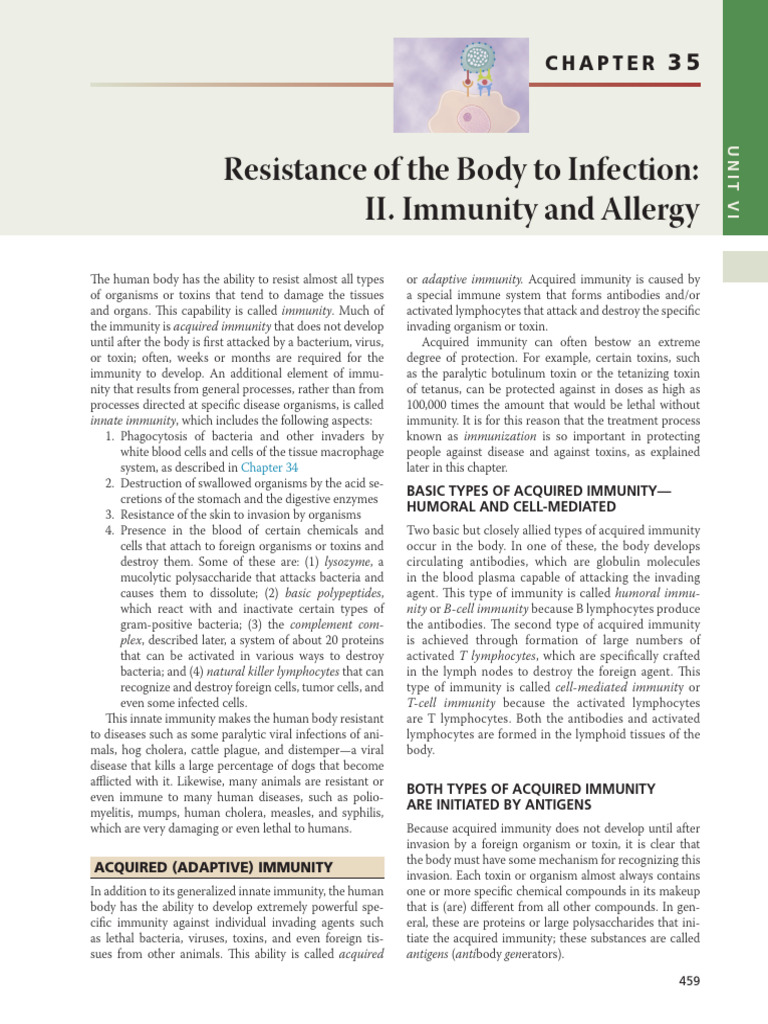 B Cells and T Cells in Immunity | PDF | Lymphocyte | Antibody