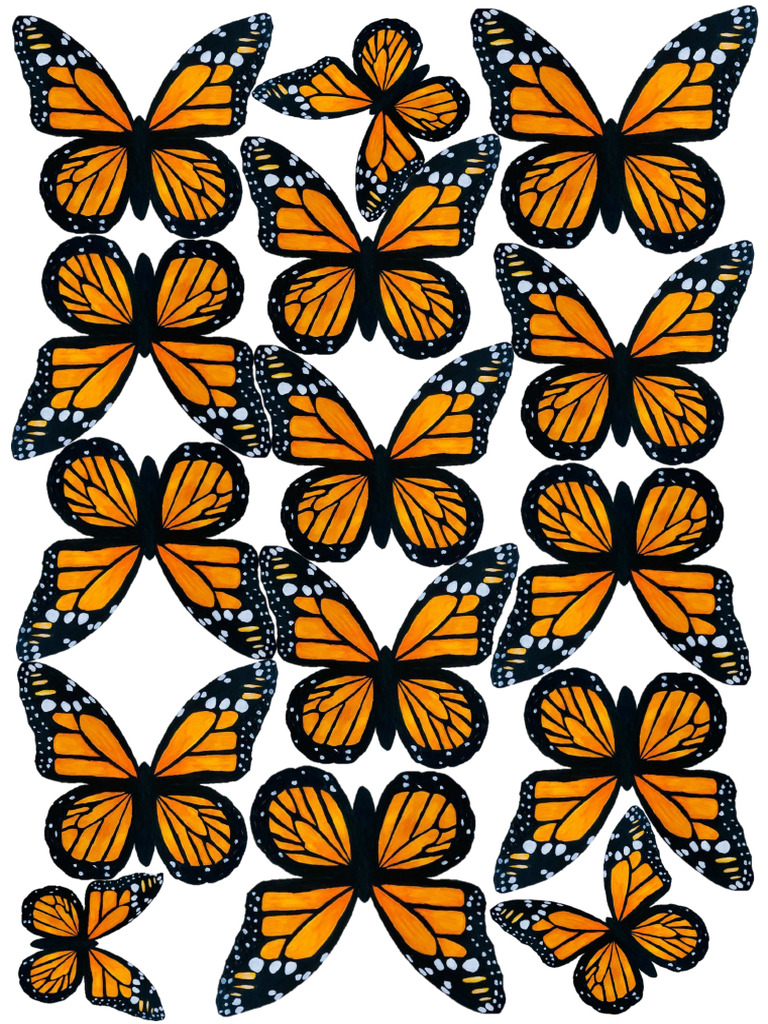 Butterfly - 2 | PDF