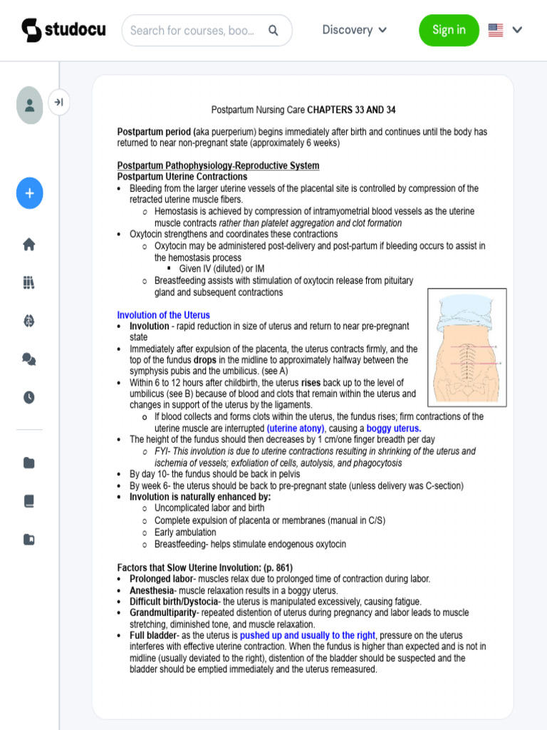 Postpartum Nursing Care Essentials | PDF | Uterus | Childbirth