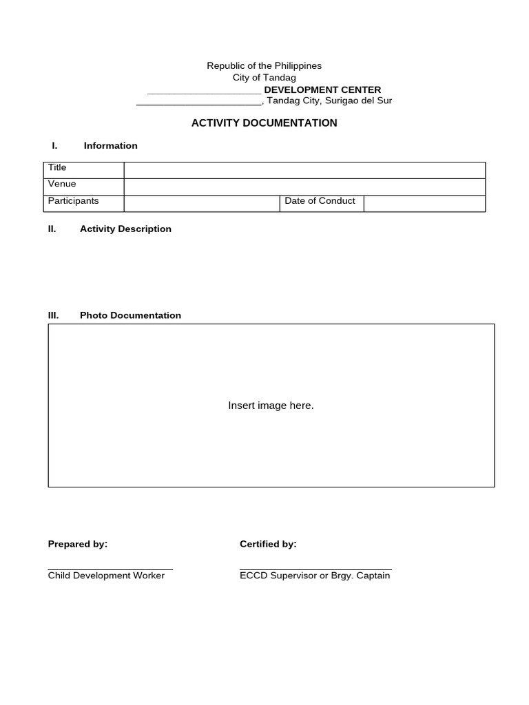 CDC CDW Activity Documentation Form | PDF