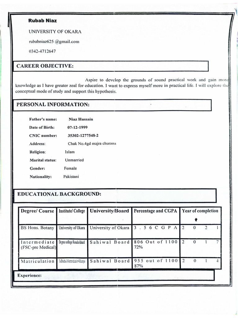 Rubab CV | PDF