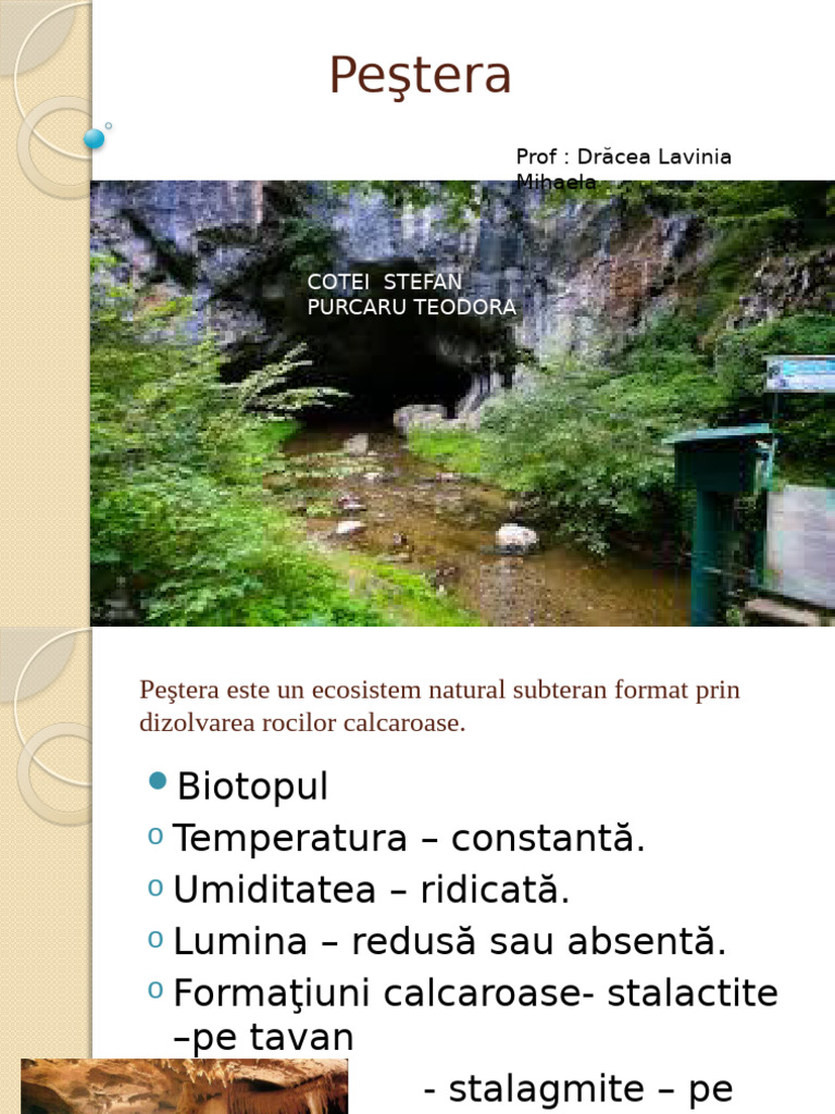 Pestera Vatra | PDF