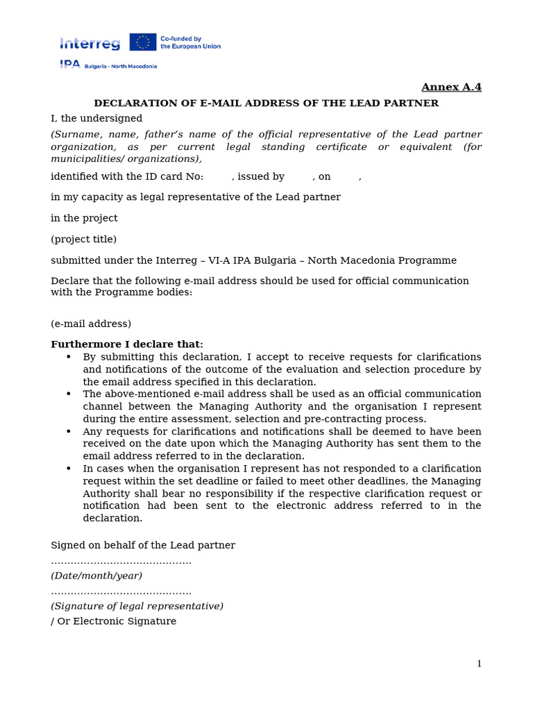Lead Partner Email Declaration Form | PDF