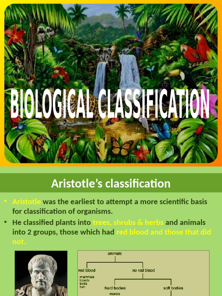 Evolution of Biological Classification | PDF | Fungus | Protozoa