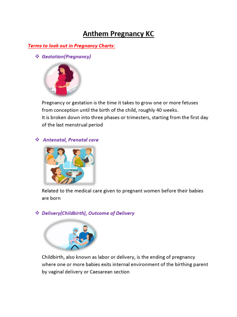 Epi Encoder Guidelines for Pregnancy Coding | PDF | Pregnancy | Childbirth