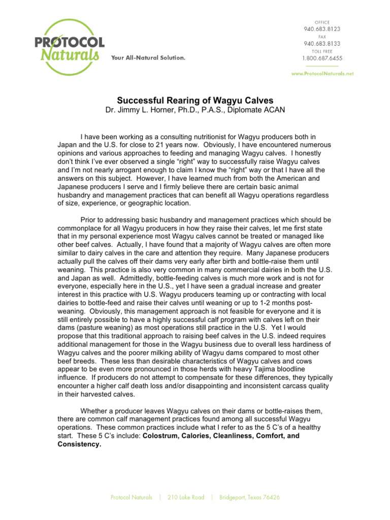 Best Practices for Raising Wagyu Calves | PDF | Weaning | Cattle