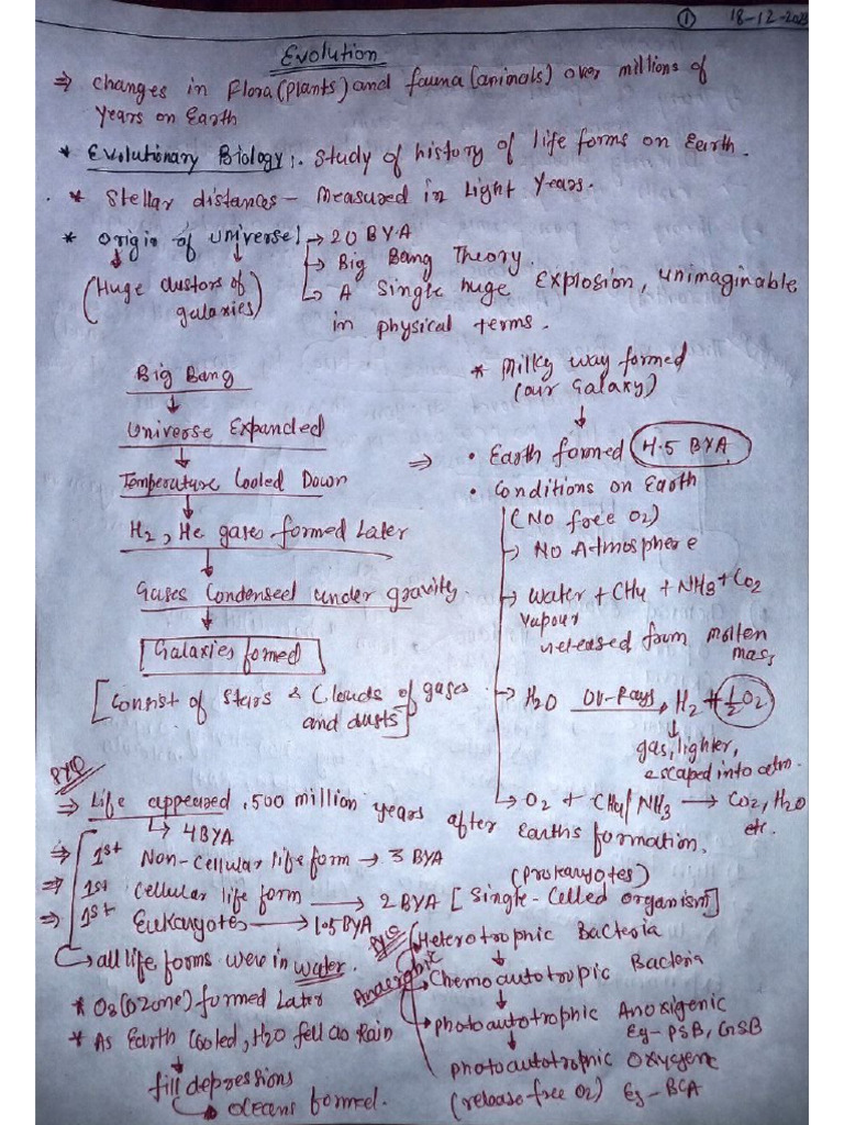 Document, - Evolution ? | PDF