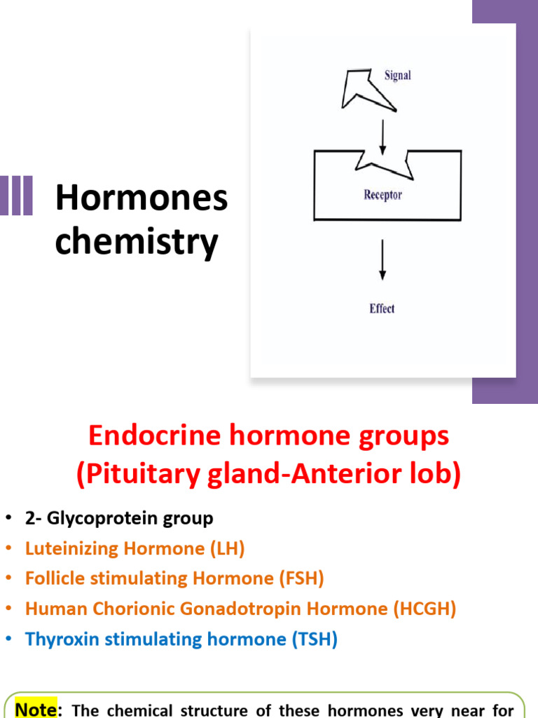 Lecture No. 3 | PDF | Luteinizing Hormone | Menstrual Cycle