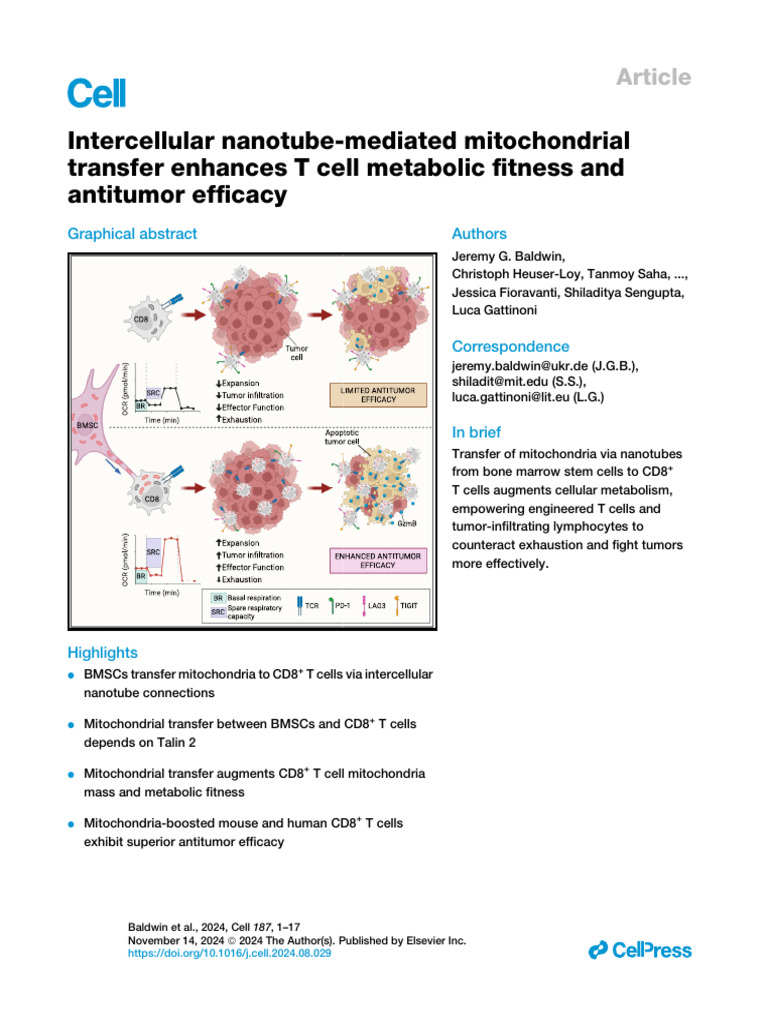 PIIS0092867424009565 | PDF | Mitochondrion | Mitochondrial Dna