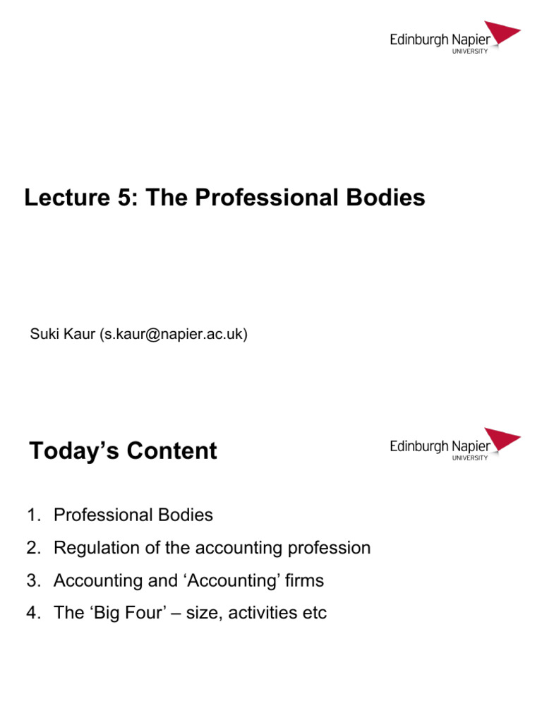 Overview of Professional Accounting Bodies | PDF | Accounting | Business